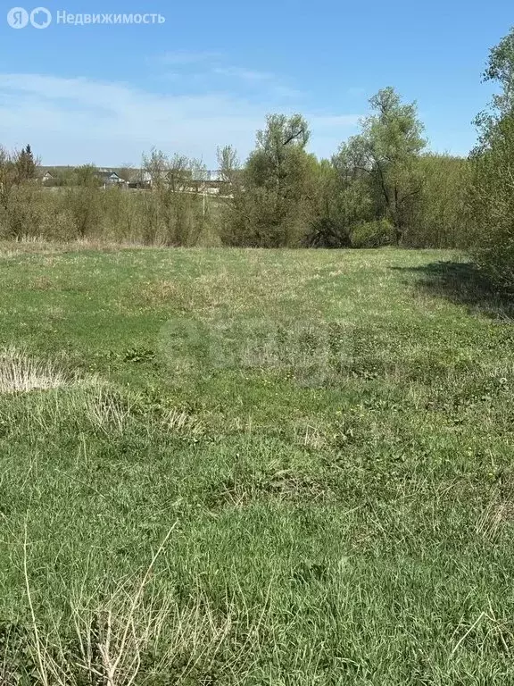 Участок в Орловский муниципальный округ, село Сабурово, Казинская ... - Фото 2