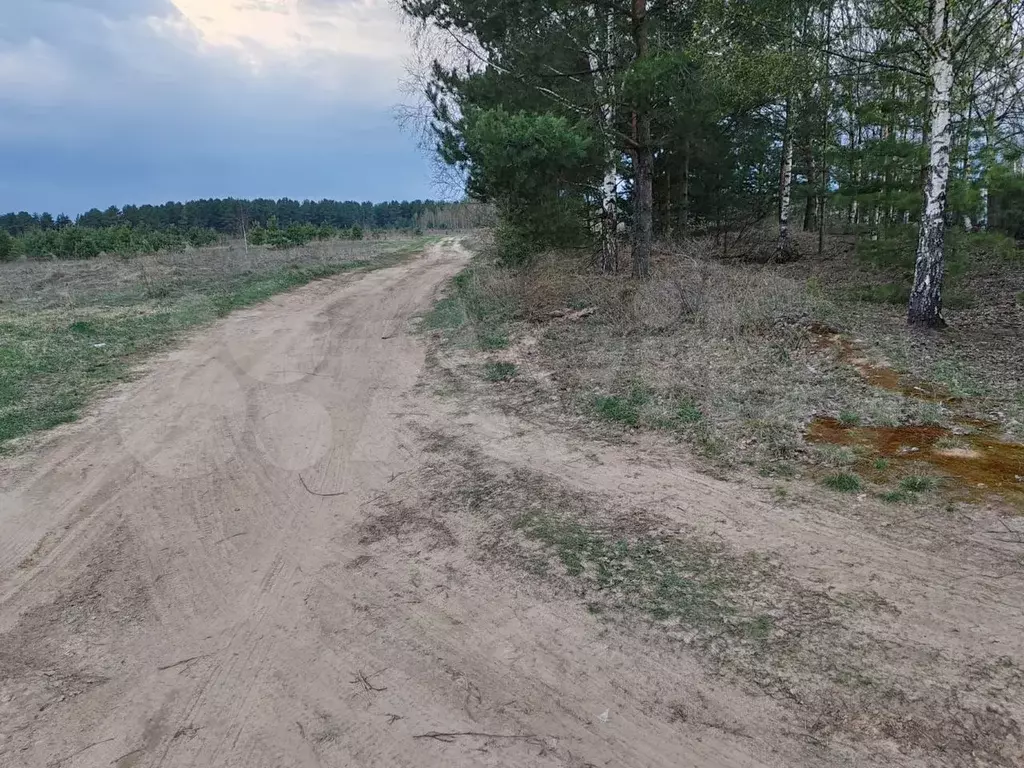Участок 19 сот. (ИЖС) - Фото 1
