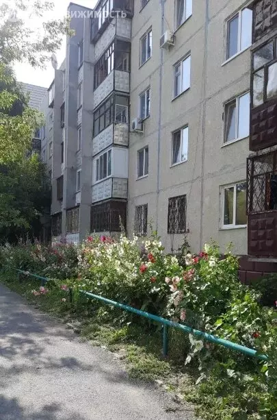 3-комнатная квартира: Тюмень, улица Демьяна Бедного, 104 (65 м) - Фото 2