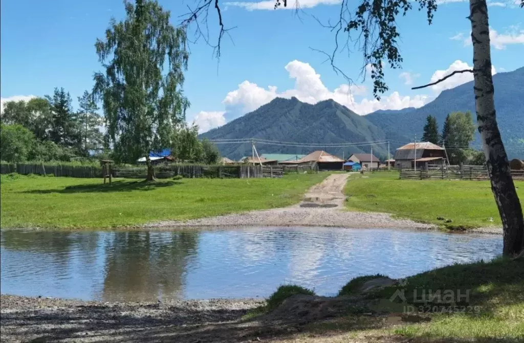 Участок в Алтай, Усть-Коксинский район, с. Тихонькая Школьная ул. ... - Фото 1