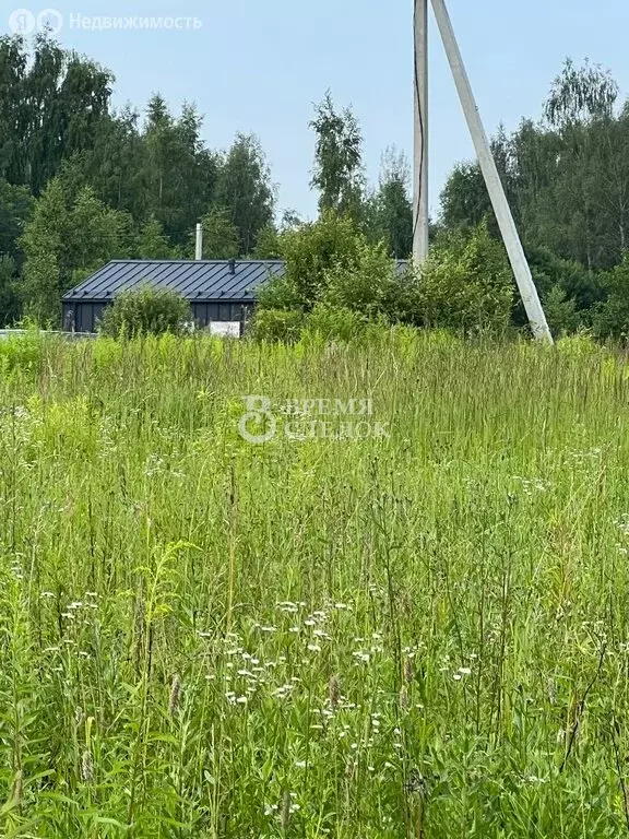 Участок в Владимирская область, Собинский муниципальный округ, село ... - Фото 0