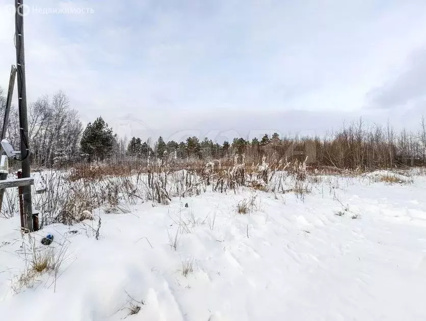 Участок в Нижнетавдинский район, СТ Фортуна (10 м) - Фото 0