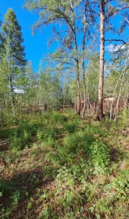 Участок в Саха (Якутия), Якутск городской округ, с. Хатассы  (6.0 ... - Фото 1
