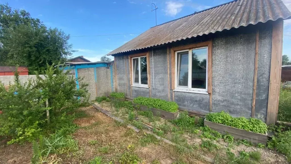 Дом в Амурская область, Ивановский муниципальный округ, с. Среднебелая ... - Фото 1