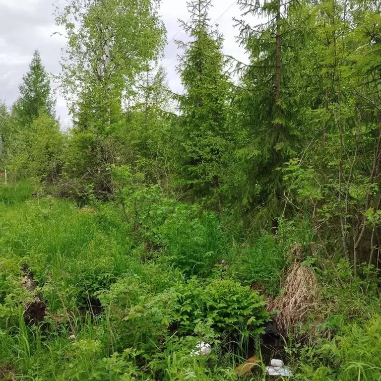 Участок в Архангельская область, Приморский муниципальный округ, ... - Фото 2