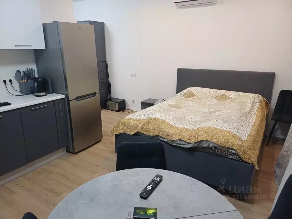 Студия Московская область, Домодедово городской округ, с. Ям ул. ... - Фото 2