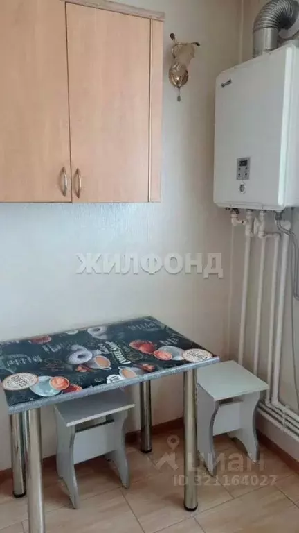 1-к кв. Новосибирская область, Болотное ул. 50 лет Октября, 9 (25.2 м) - Фото 1