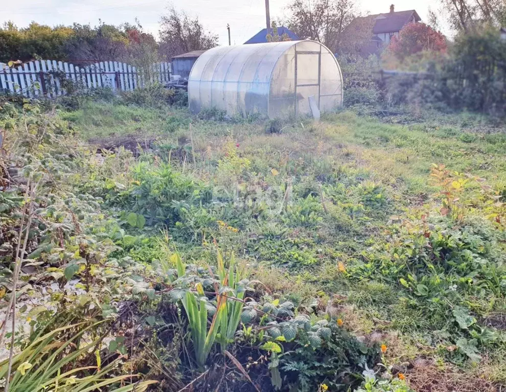 Участок в Новосибирская область, Новосибирск Солнышко плюс СНТ, 8 (4.0 ... - Фото 1