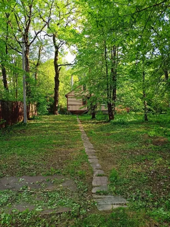 Участок в Московская область, Балашиха Салтыковка мкр, ул. Лесной ... - Фото 1