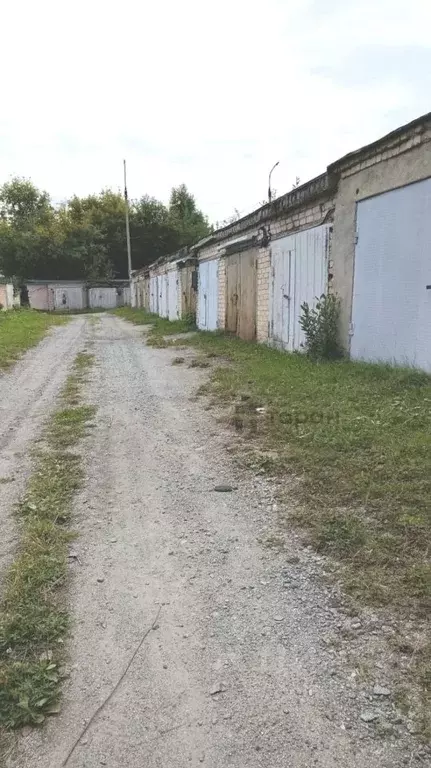 Гараж в Челябинская область, Челябинск ГСК № 206 тер., 107 (19 м) - Фото 2