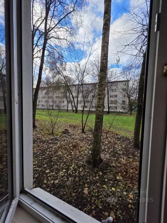 2-к кв. Санкт-Петербург, Санкт-Петербург, Колпино Павловская ул., 74 ... - Фото 2