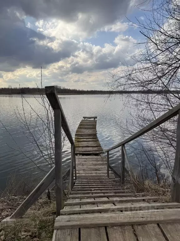 Участок в Ярославская область, Некрасовский муниципальный округ, ... - Фото 0