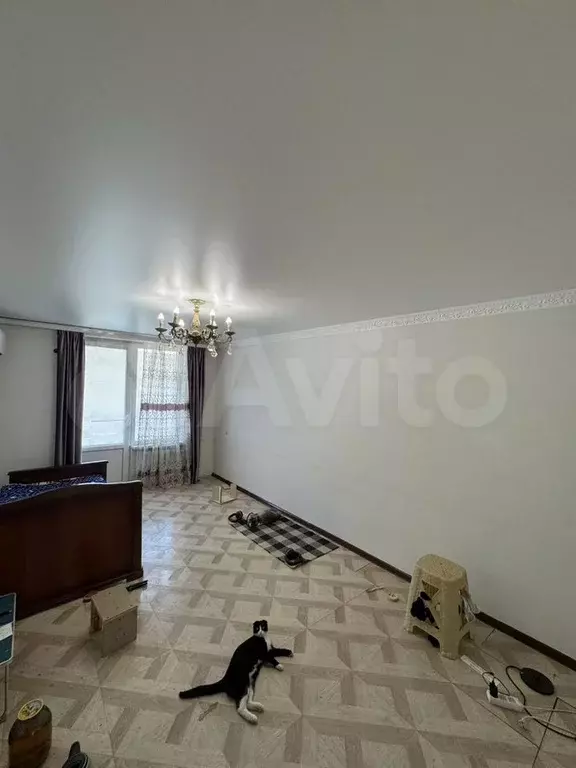 2-к. квартира, 46 м, 2/5 эт. - Фото 1