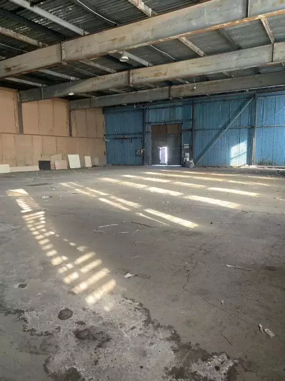 Склад в Московская область, Химки Сходня мкр, ул. Некрасова, 2к16 (780 ... - Фото 1