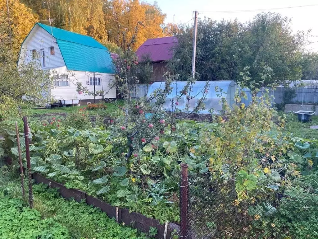 Купить Дачу В Снт Ветеран