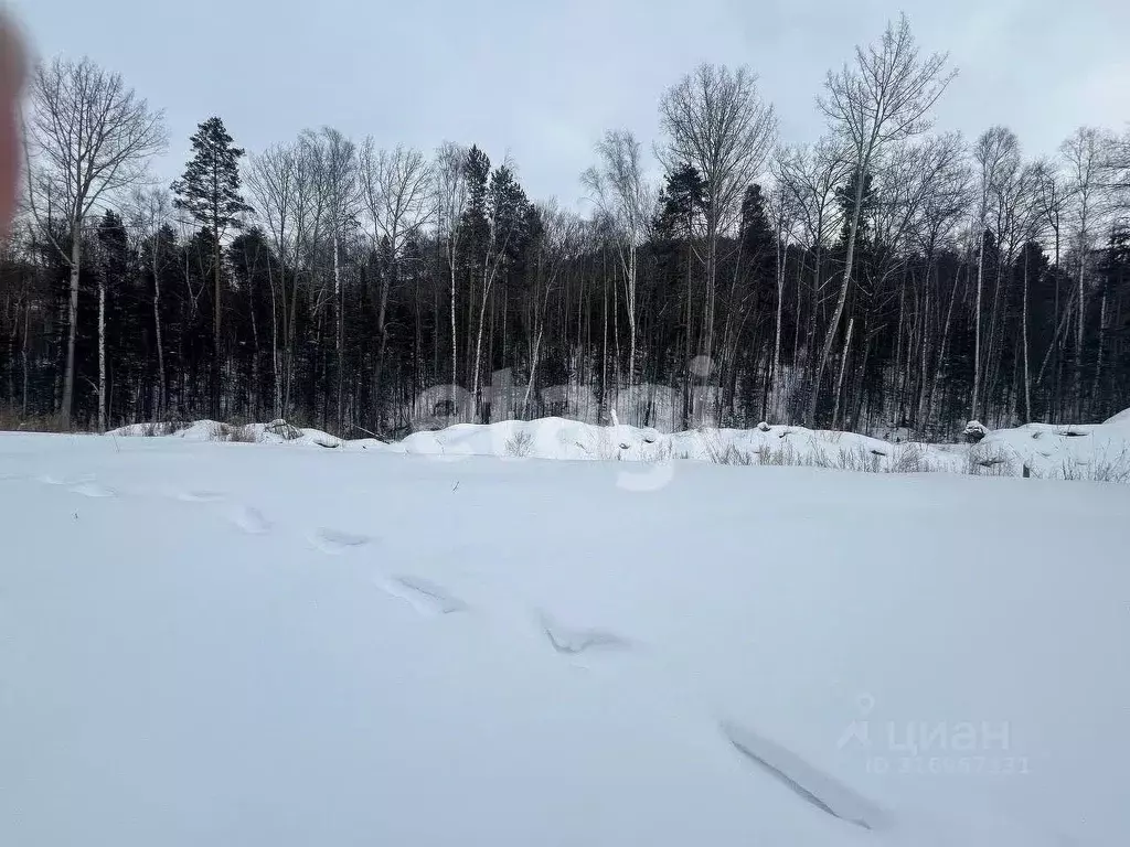 Участок в Бурятия, Кабанский район, с. Сухая  (7.1 сот.) - Фото 1