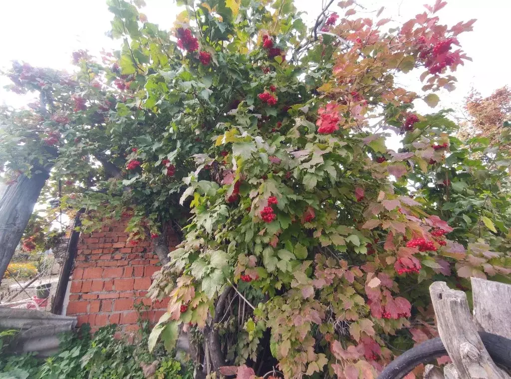 Дом в Чувашия, Чебоксары Виктория некоммерческое товарищество ... - Фото 2