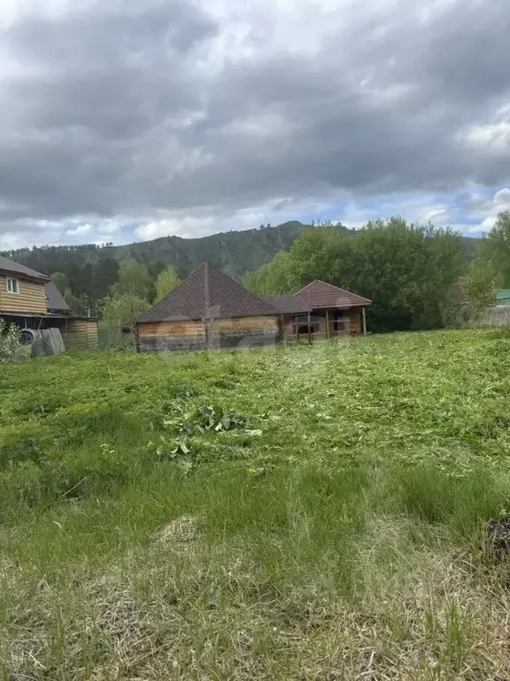 Участок в Алтай, Майминский район, Соузгинское с/пос, пос. Черемшанка ... - Фото 1