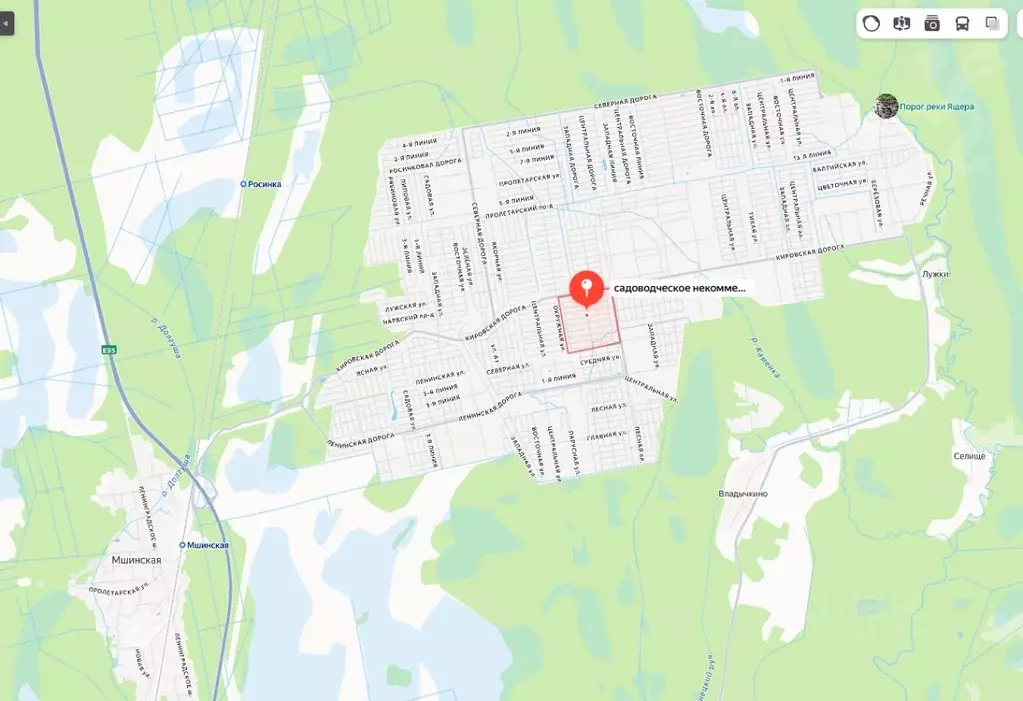 Участок в Ленинградская область, Лужский район, Мшинское с/пос, ... - Фото 1