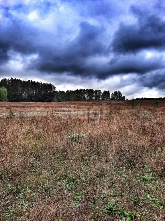 Участок в Нижегородская область, Выкса Лесная ул. (10.5 сот.) - Фото 1