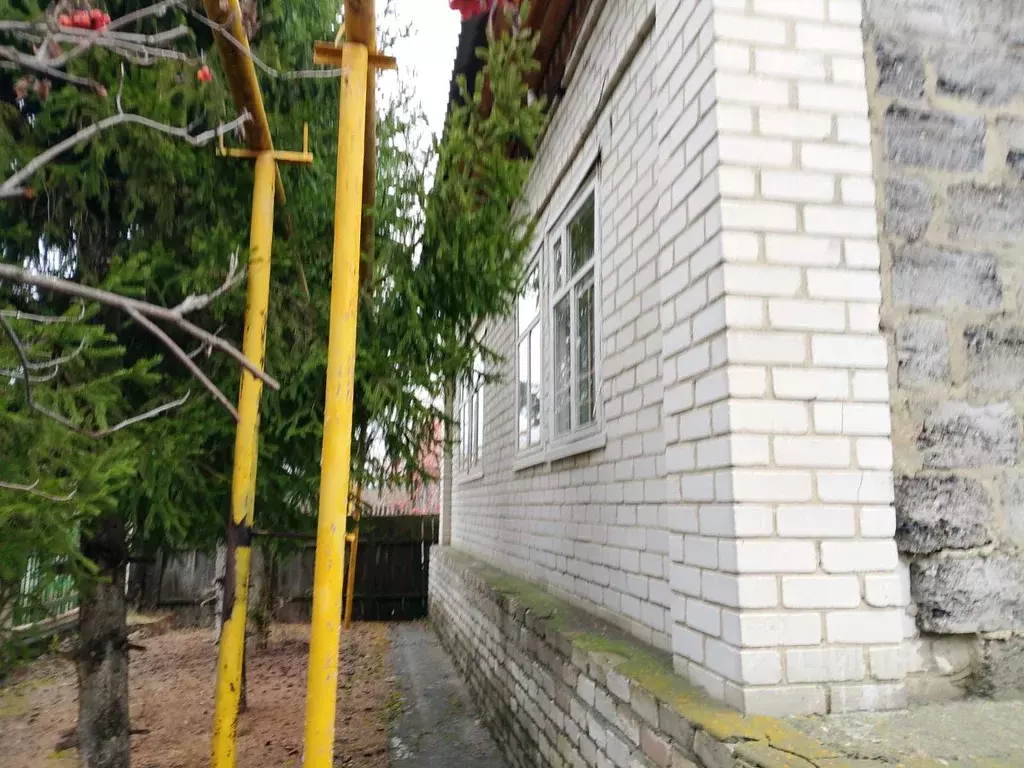 Дом в Самарская область, Шигонский район, Бичевная ж/д_ст ул. ... - Фото 1