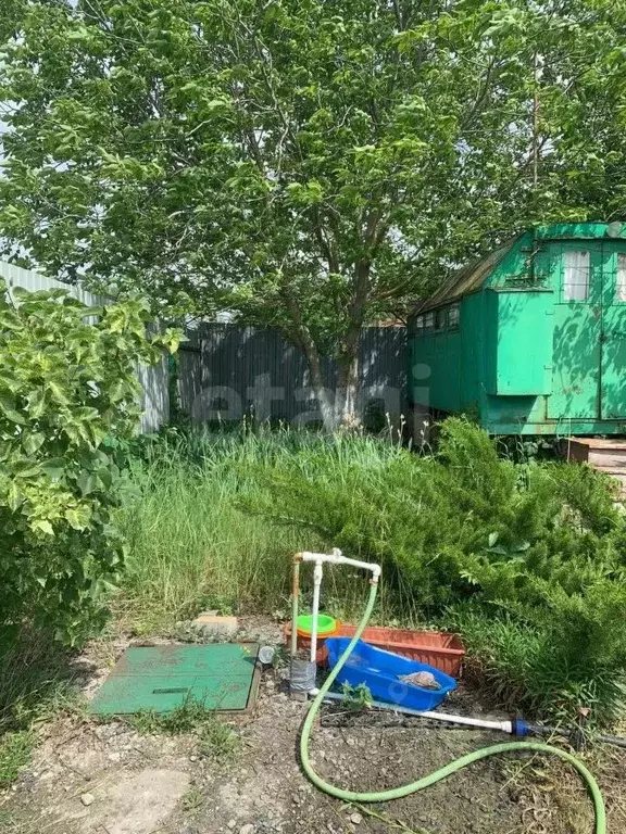 Участок в Ростовская область, Ростов-на-Дону Луч садовое товарищество, ... - Фото 1