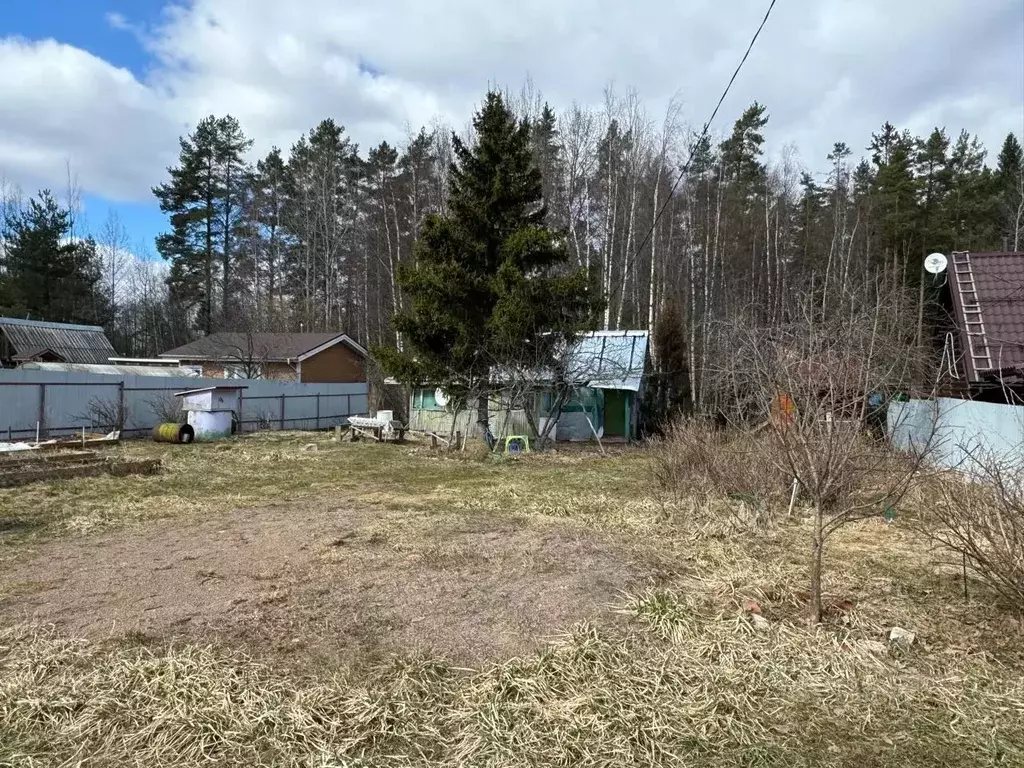 Участок в Ленинградская область, Приозерский район, Красноозерное ... - Фото 2