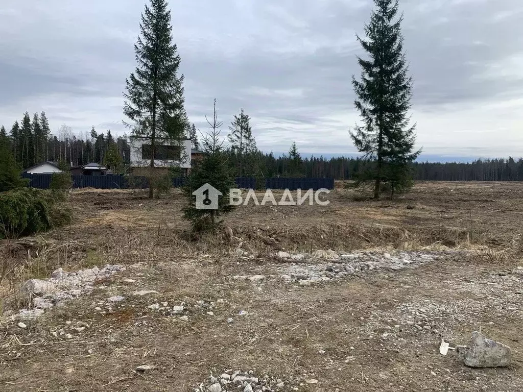 Участок в Ленинградская область, Всеволожский район, Агалатовское ... - Фото 1