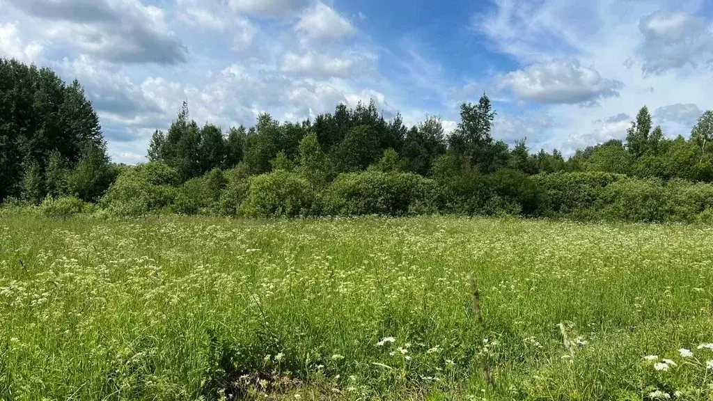 Участок в Московская область, Истра муниципальный округ, д. Курово  ... - Фото 0