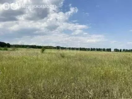 Участок в Чердаклинский район, Белоярское сельское поселение, село ... - Фото 0