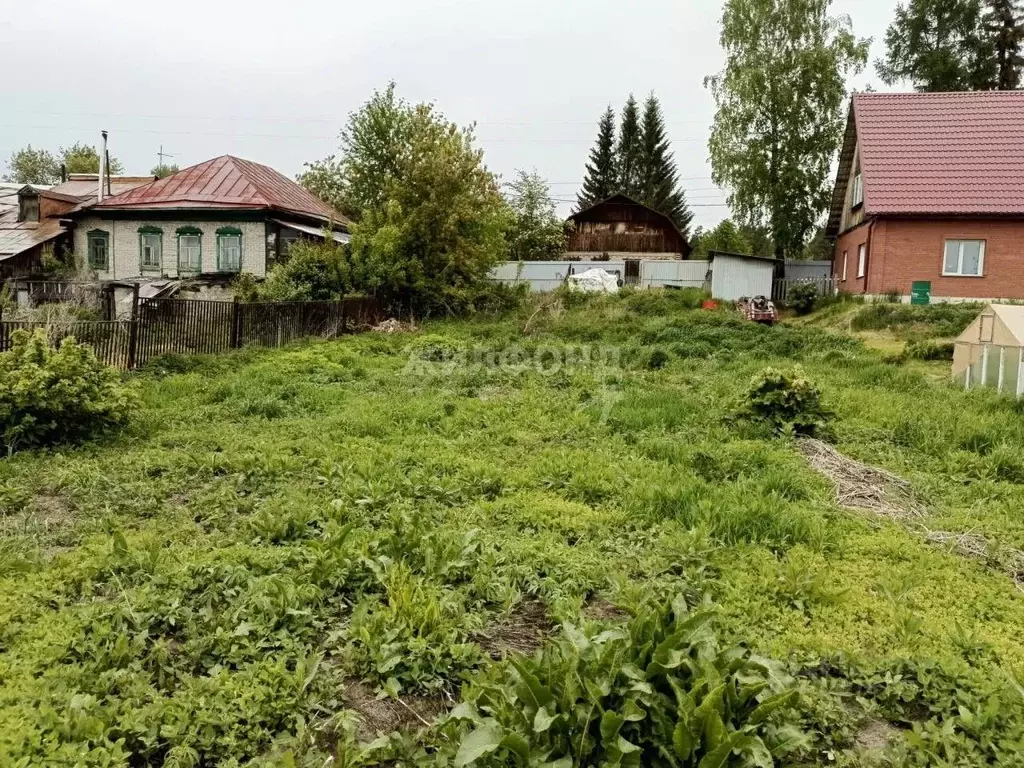 Участок в Новосибирская область, Новосибирский район, с. Барышево ул. ... - Фото 1