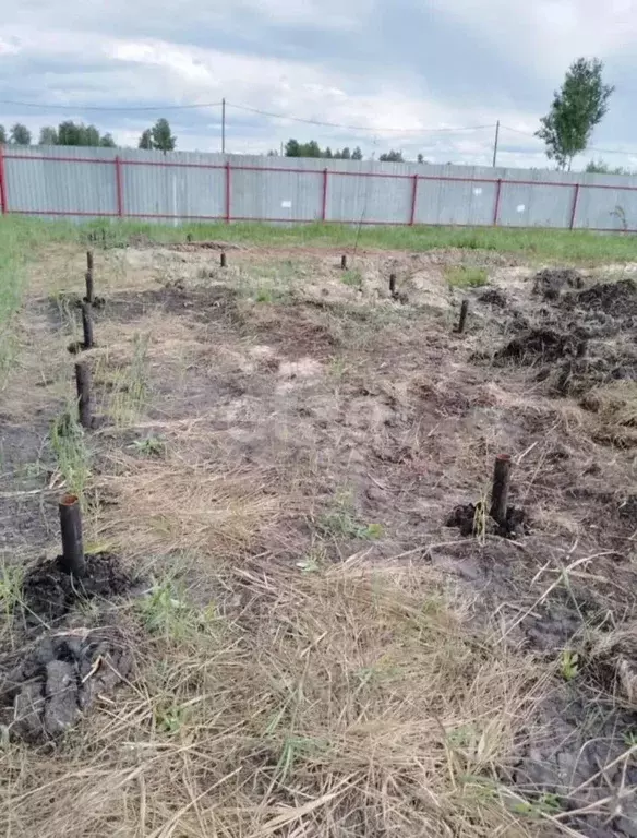 Участок в Тюменская область, Тюмень Садовое товарищество Липовый ... - Фото 0