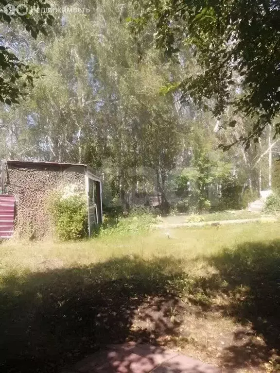 Участок в Омск, территория СОСН Нефтехимик (6.5 м) - Фото 2