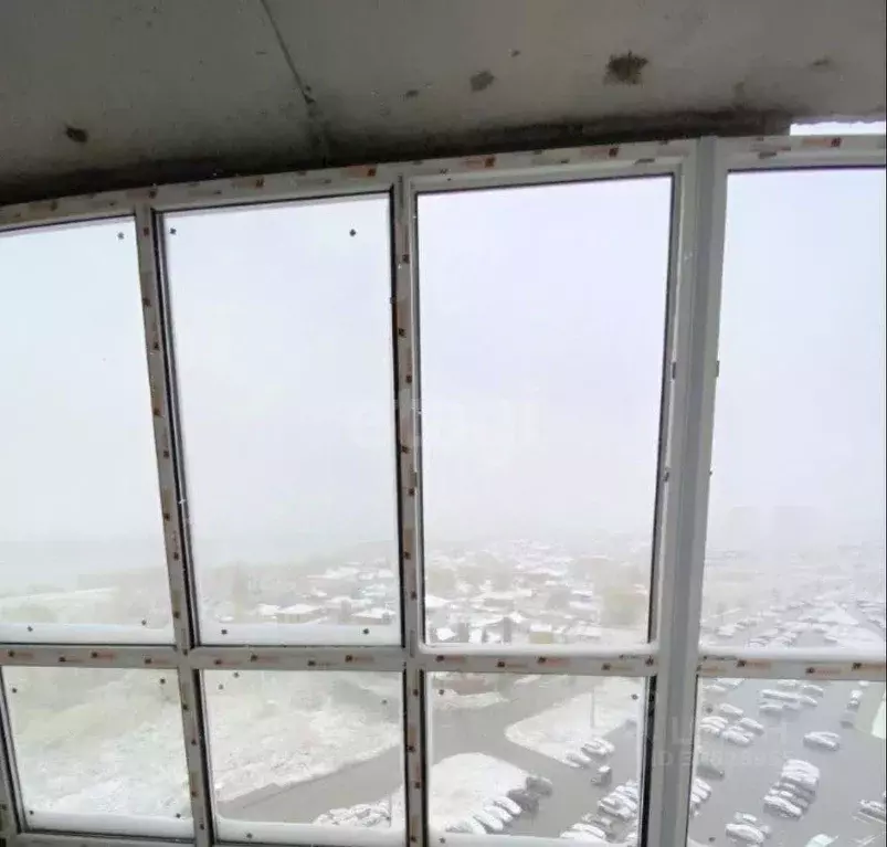 Студия Омская область, Омск ул. Б.Г. Шаронова, 27 (28.0 м) - Фото 1