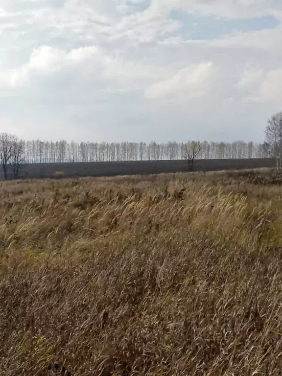 Участок в Тульская область, Ясногорский район, Теляковское с/пос, с. ... - Фото 1