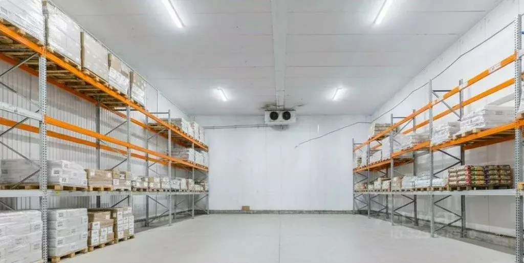 Производственное помещение в Ленинградская область, Тосненский район, ... - Фото 1