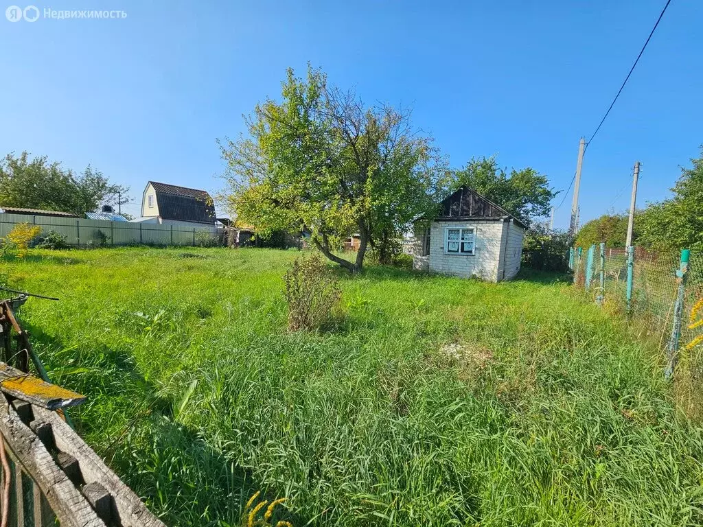 Дом в Камышинский сельсовет, СНТ Рассвет-2, 6-я Дачная улица (20 м) - Фото 0