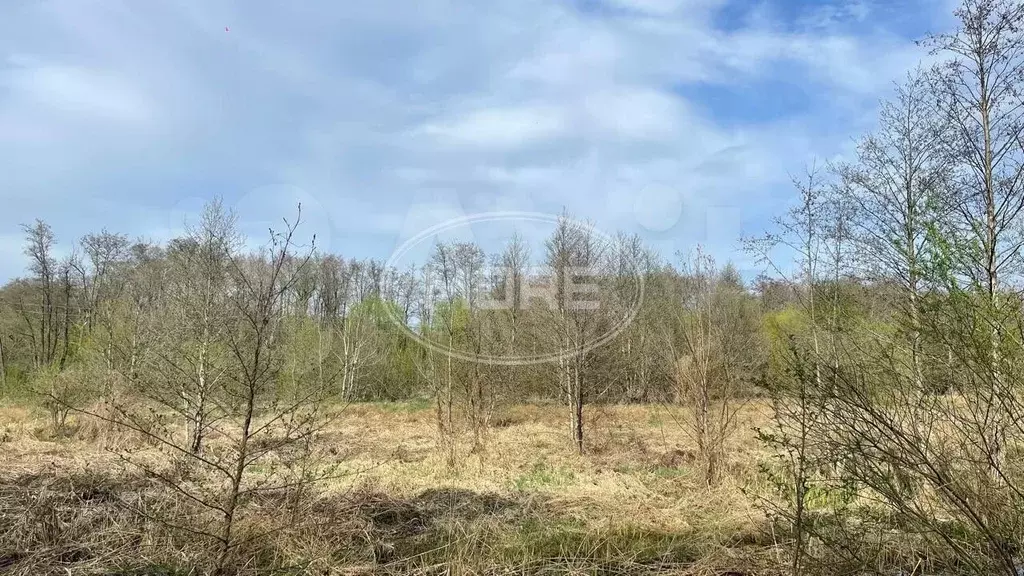 Участок 8 сот. (ИЖС) - Фото 0