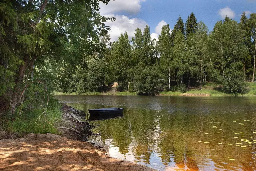 Участок в Ленинградская область, Выборгский район, Рощино пгт аллея ... - Фото 0