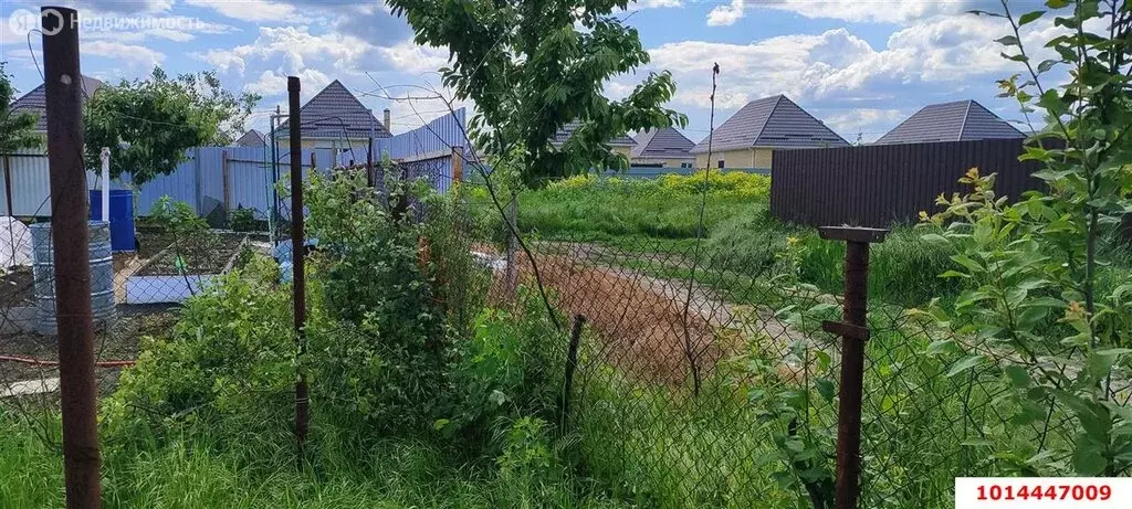 Участок в Новотитаровское сельское поселение, хутор Осечки, дачное ... - Фото 1