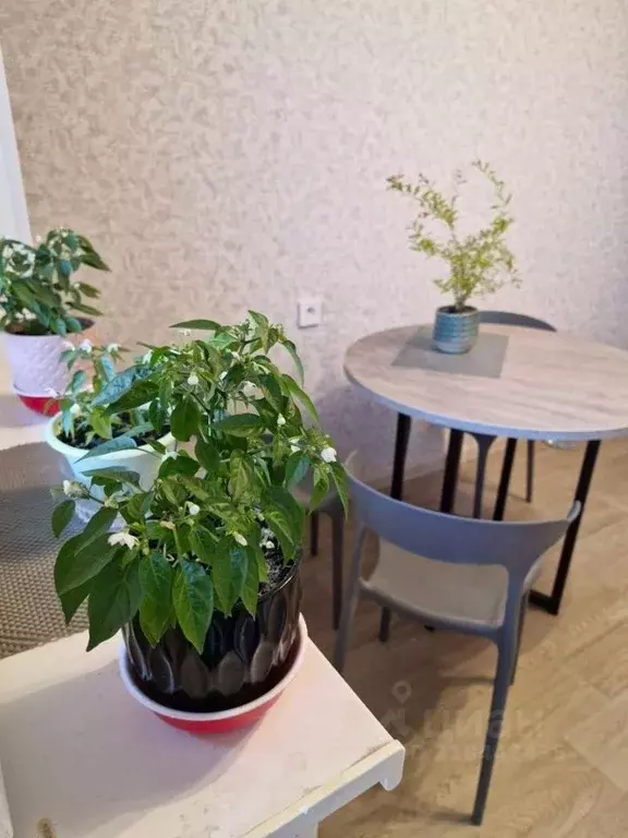 1-к кв. Московская область, Одинцово ул. Чистяковой, 52 (42.0 м) - Фото 0
