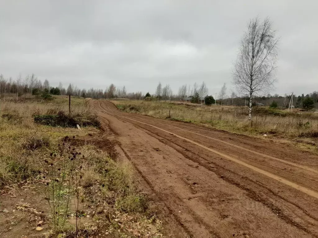 Участок в Новгородская область, Валдайский муниципальный округ, ... - Фото 1