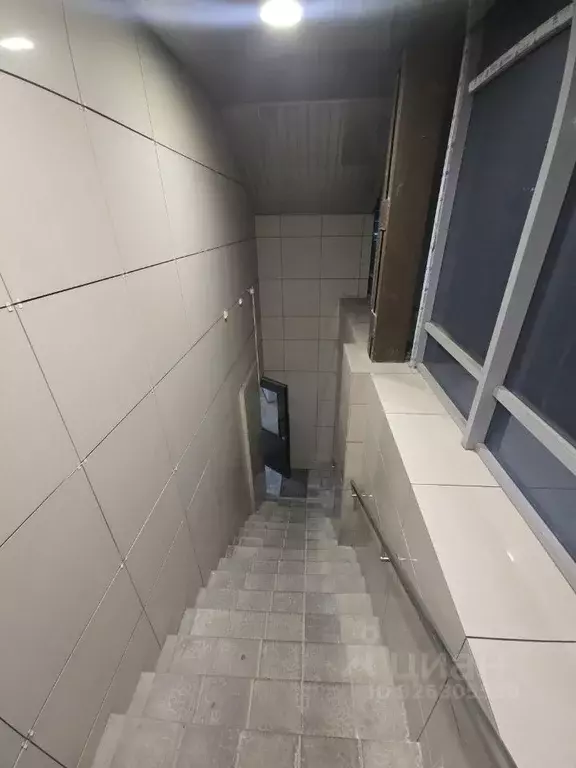 Помещение свободного назначения в Новосибирская область, Новосибирск ... - Фото 2