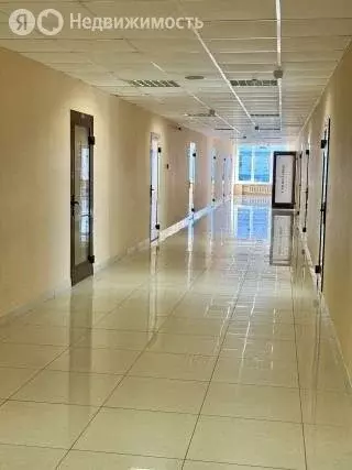 Офис (38 м) - Фото 1