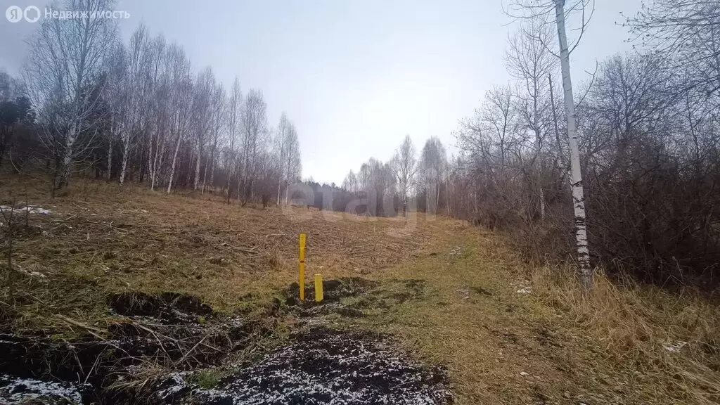 Участок в Горно-Алтайск, СНТ Бочкарёвка (98 м) - Фото 1