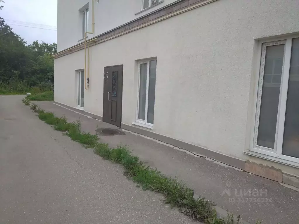 Помещение свободного назначения в Владимирская область, Суздальский ... - Фото 0