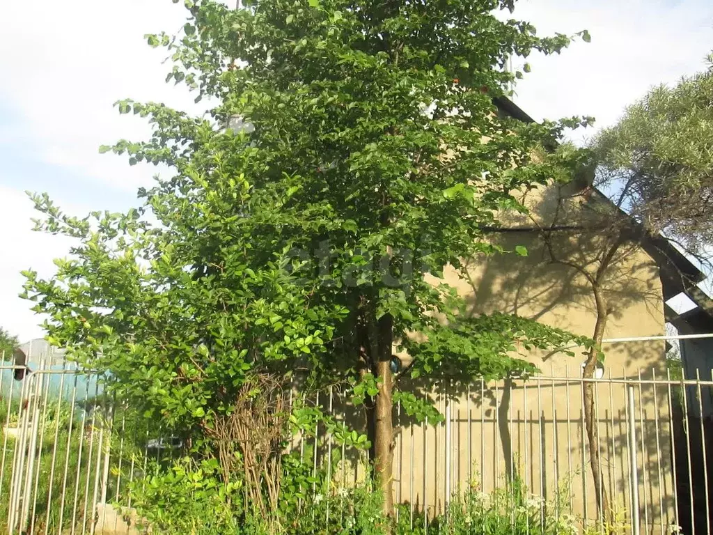 Дом в Новосибирская область, Новосибирск Метростроитель СНТ, 288 (30 ... - Фото 1