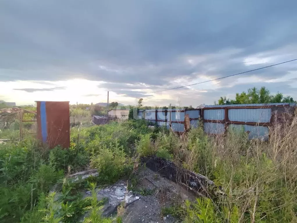 Дом в Курганская область, Курган Пищевик СНТ, 14 (48 м) - Фото 1