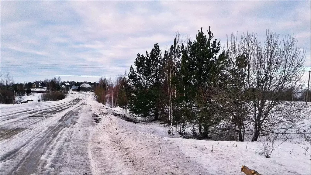 Участок в Ярославская область, Переславль-Залесский городской округ, ... - Фото 1