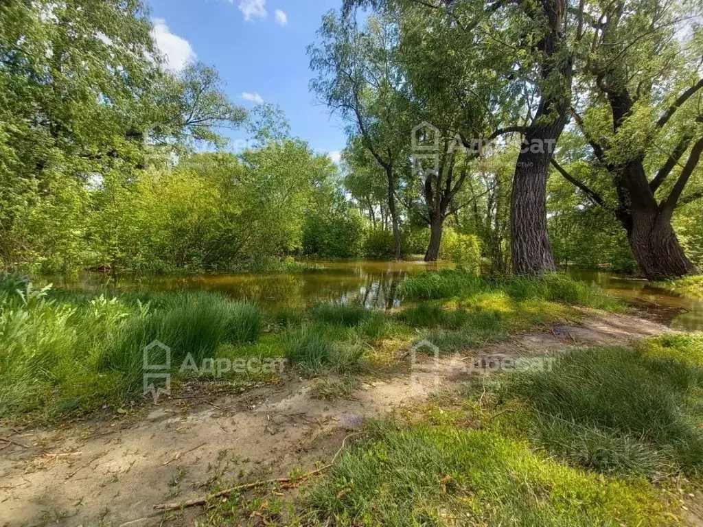 Участок в Волгоградская область, Городищенский район, Паньшинское ... - Фото 1